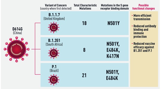 February new coronavirus variants spark concerns