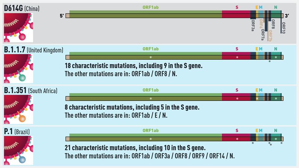 covid variants