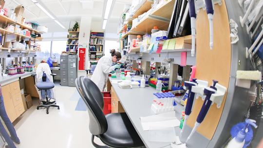 wide angle image of a scientist at the lab bench