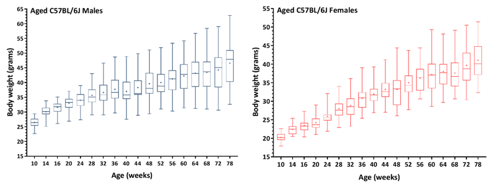 aged b6 male and female data