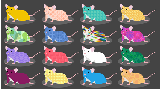 August jax diversity outbred mice a genetically diverse mouse for a diverse human