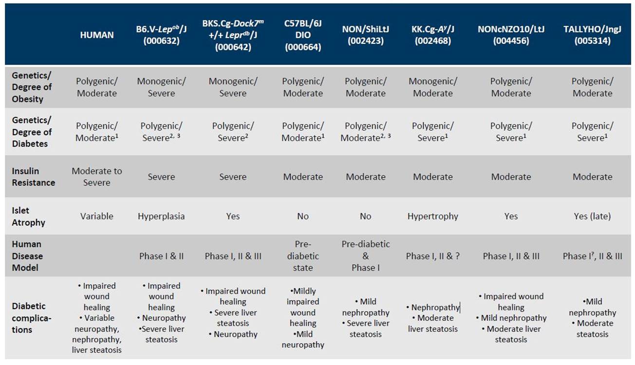 Type 2 diabetes mouse models
