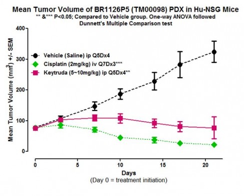 nsg pdx fig 2