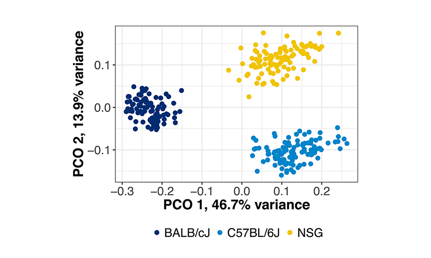 microbiome stability genotype