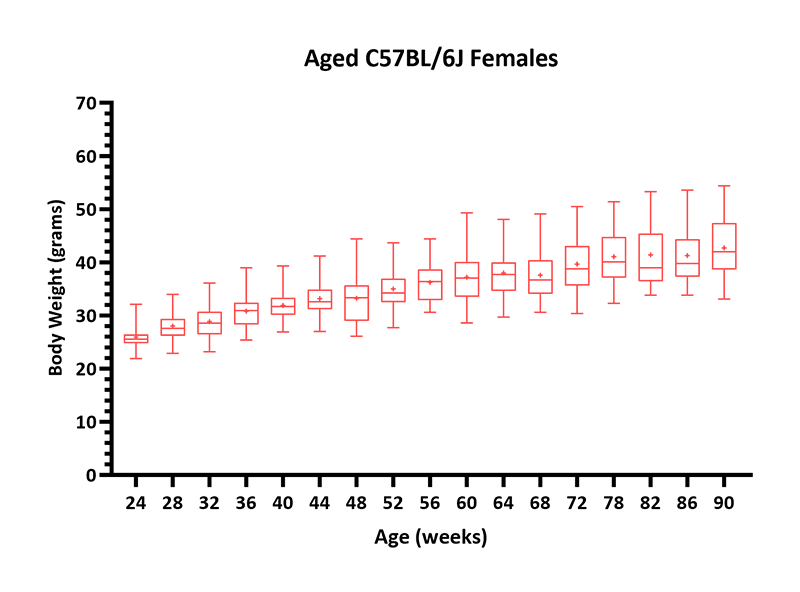 Mouse Body Weight Info - JAX® Mice Strain Aged C57BL/6J Females (000664)