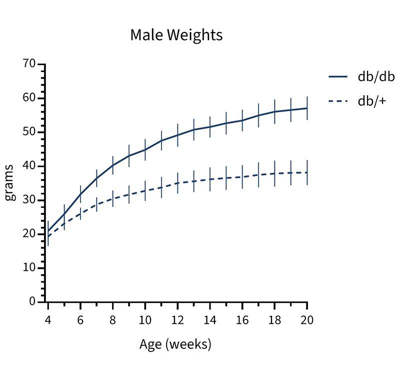 Male Mice Body Weight Info - JAX® Mice Strain B6.BKS(D)-Leprdb/J (000697)