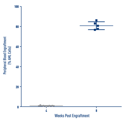 AML Studies - Percent Engraftment of AML J000106124