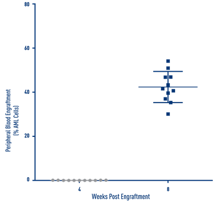 AML Studies - Percent Engraftment of AML J000106134