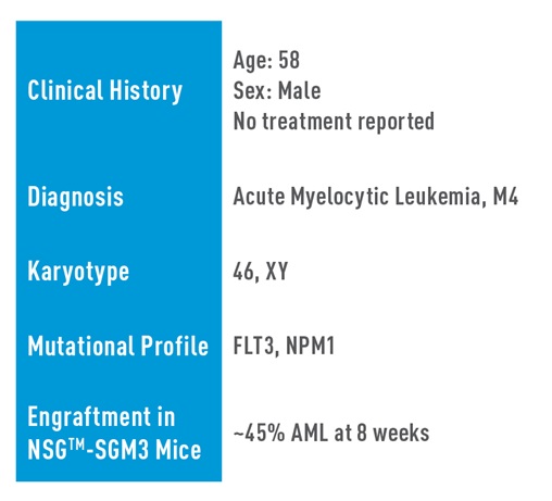 AML Studies - J000106134*, Positive for FLT3 and NPM1