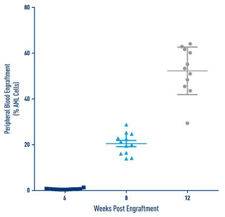 AML Studies - Percent Engraftment of AML J000106143