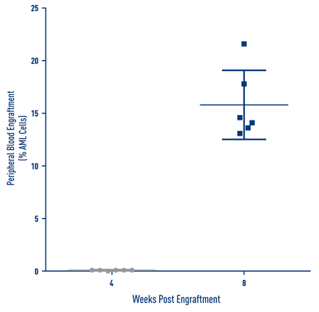 AML Studies - Percent Engraftment of AML J000106565