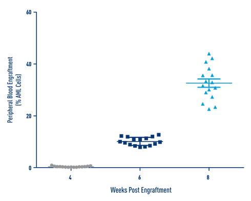 AML Studies - Percent Engraftment of AML J000106566