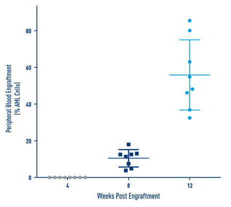 AML Studies - Percent Engraftment of AML J000106569