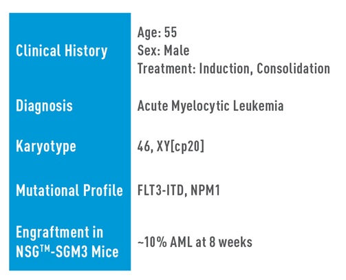 AML Studies - J000106569*, Positive for FLT3-ITD and NPM1