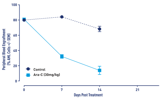 AML Studies - ARA-C RESPONSE IN AML MODEL J000106134