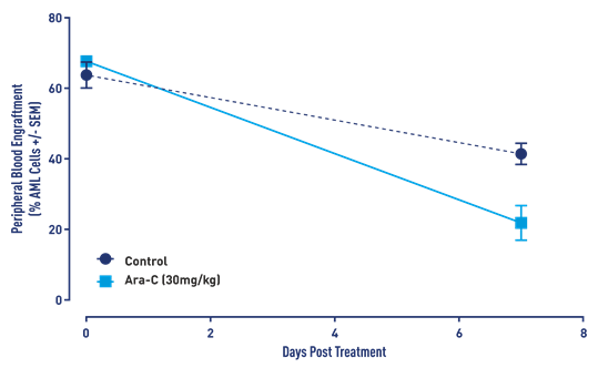 AML Studies - ARA-C RESPONSE IN AML MODEL J000106566