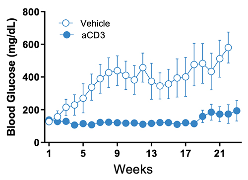 Graphics anti cd3 treatment