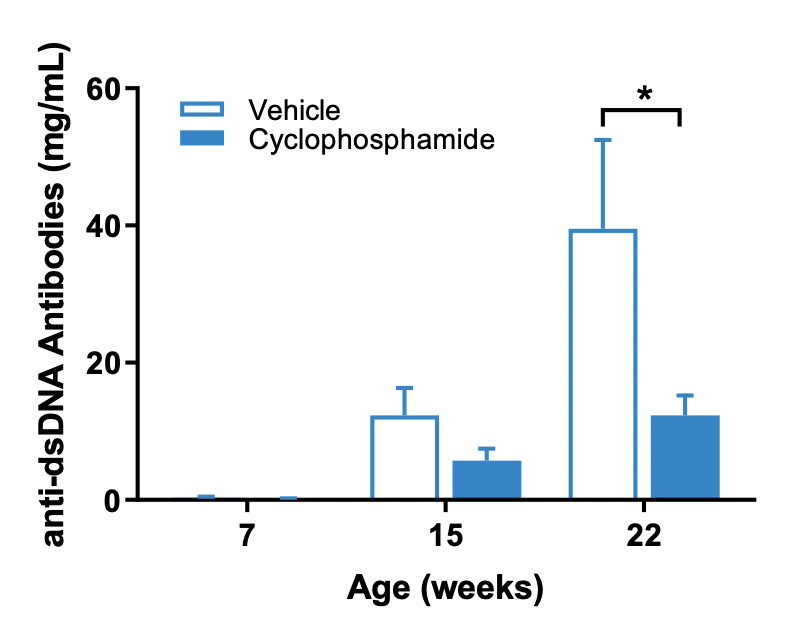 JAX Lupus Efficacy Studies  - MRL-lpr Mice - Anti-dsDNA Antibody Concentration in Sera