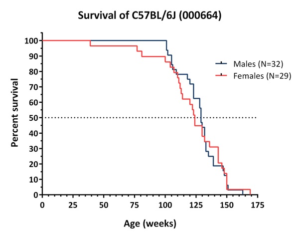 b6_survival_curve