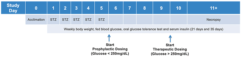 Graphics inducible stz type 1