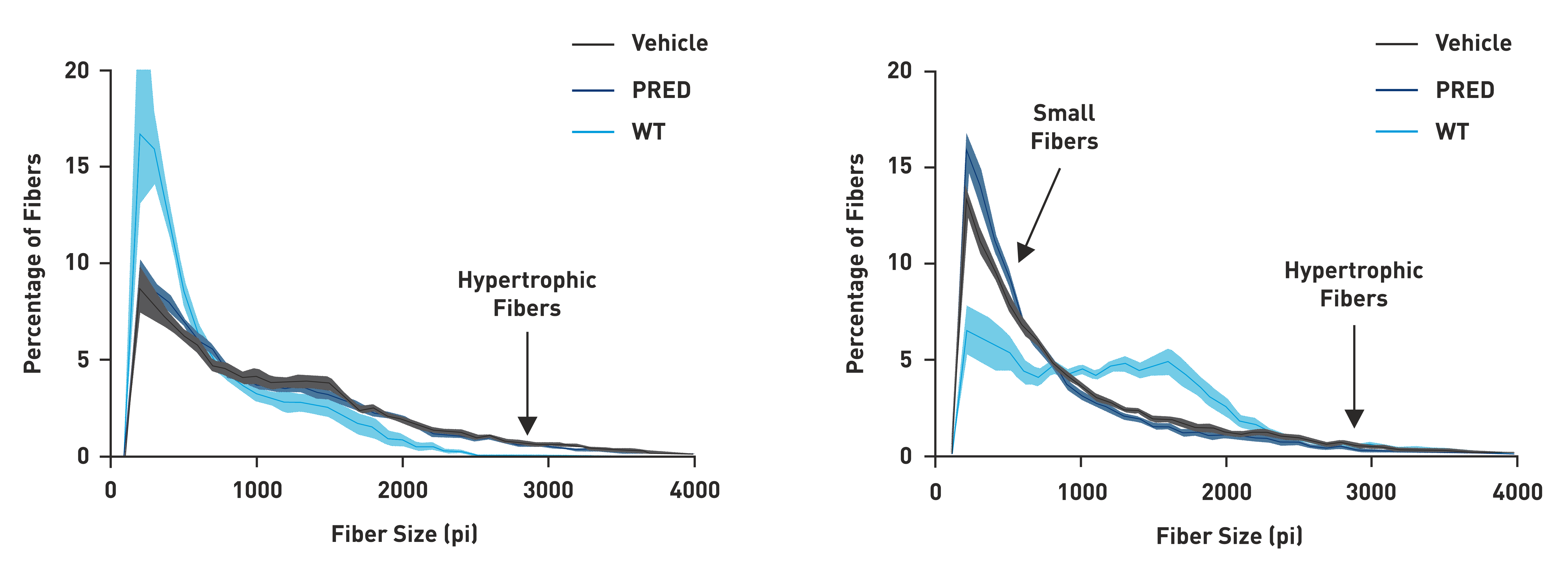 mdx_graph