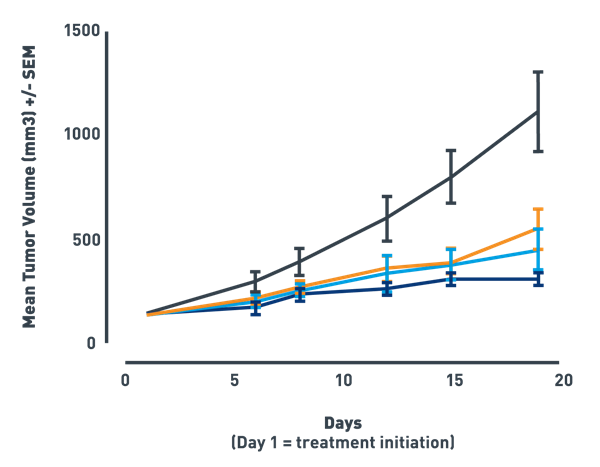 Pilot Combination Study Using a PDX Live Colon Adenocarcinoma