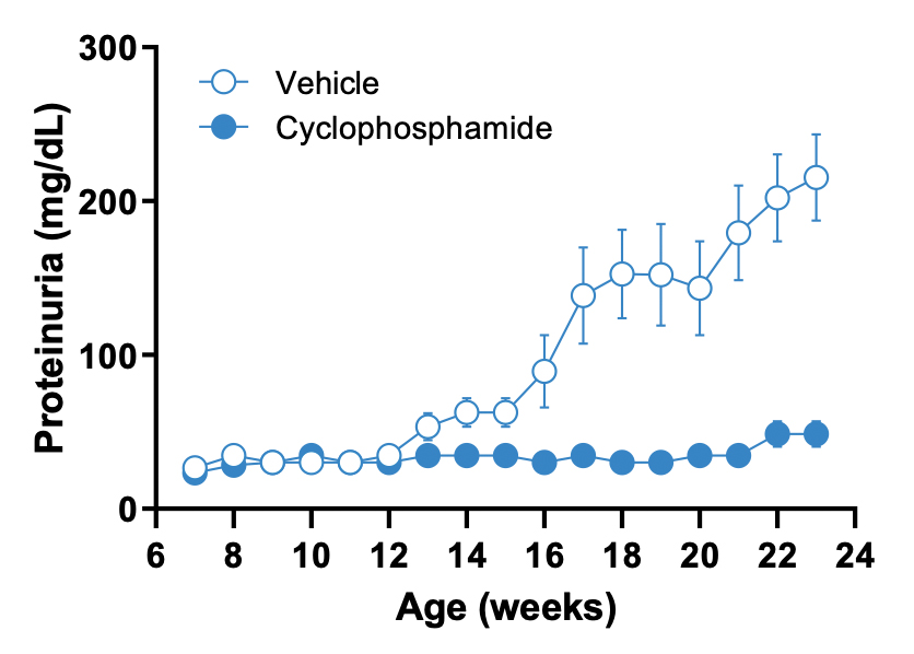 JAX Lupus Efficacy Studies  - MRL-lpr Mice - Proteinuria Analysis