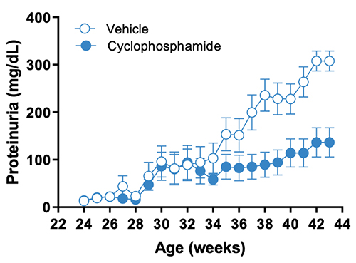 JAX Lupus Efficacy Studies - NBWF1 Mice - Proteinuria Analysis