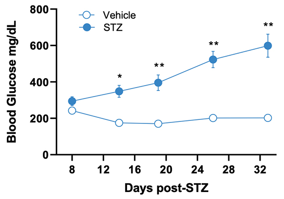 Graphics stz type1