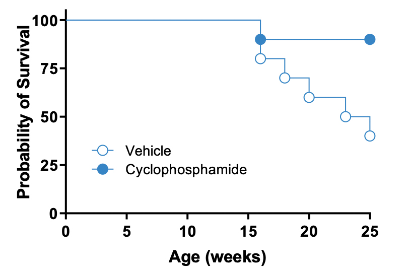 JAX Lupus Efficacy Studies  - MRL-lpr Mice - Probability of Survival