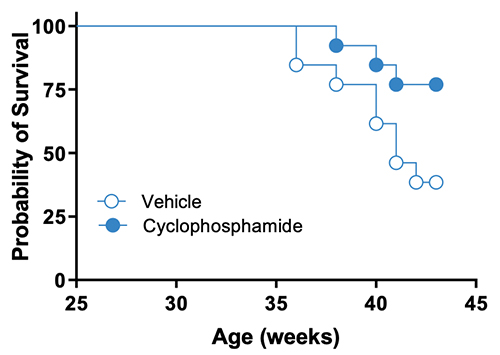 JAX Lupus Efficacy Studies - NBWF1 Mice - Probability of Survival