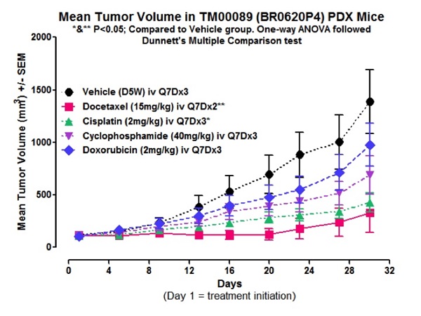 Pilot Combination Study Using a PDX Live Invasive Ductal Carcinoma