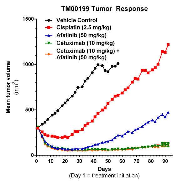 Pilot Combination Study Using a PDX Live Lung Adenocarcinoma