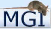 mgi