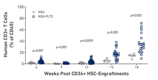 CD34 humanized NSG-FLT3 mice show elevated levels of CD3+ T cells following engraftment as compared to the NSG strain