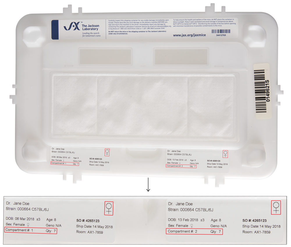 top-view shipping container