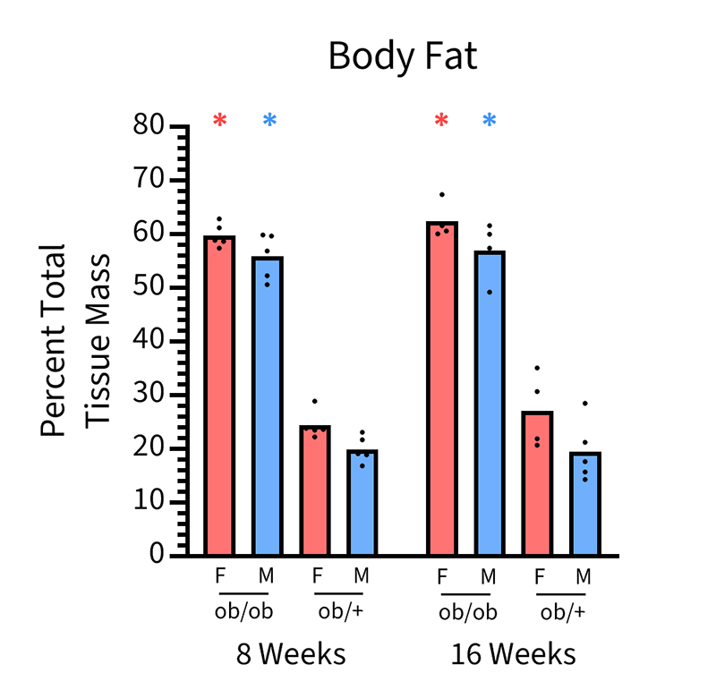 Mice Body Composition Info - JAX® Mice Strain B6.Cg-Lepob/J (000632)