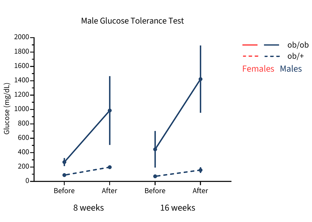 Male Mice Glucose Tolerance - JAX® Mice Strain B6.Cg-Lepob/J (000632)