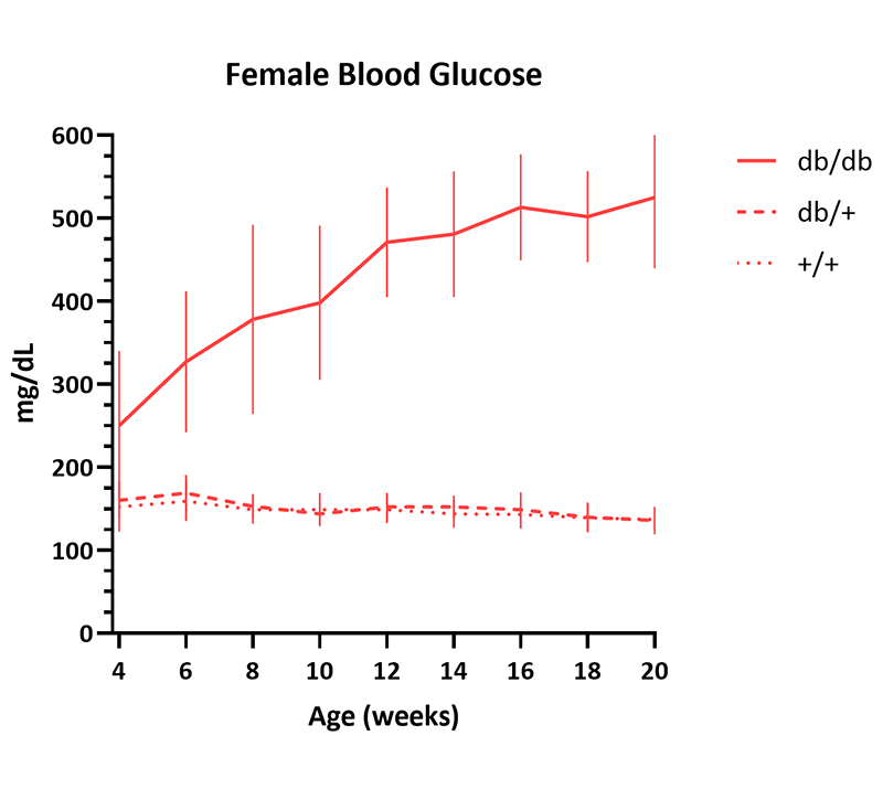 Female Mice Non-fasted Blood Glucose Info - JAX® Mice Strain BKS-db (000642)