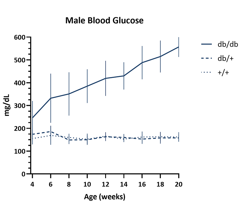 Male Mice Non-fasted Blood Glucose Info - JAX® Mice Strain BKS-db (000642)