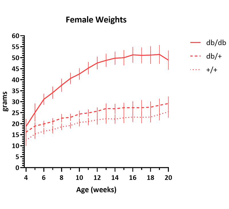 Female Mice Body Weight Info - JAX® Mice Strain BKS-db (000642)