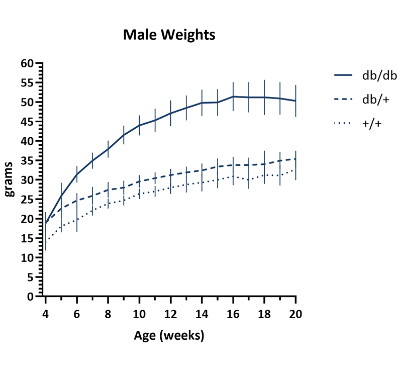 Male Mice Body Weight Info - JAX® Mice Strain BKS-db (000642)