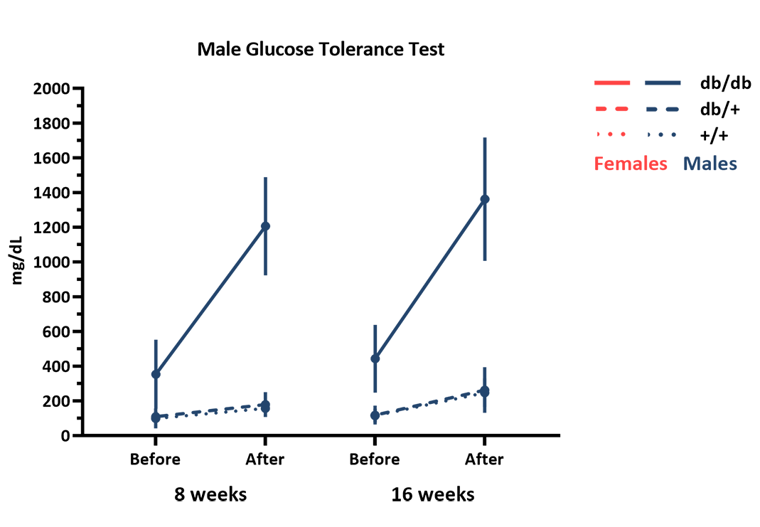 Male Mice Glucose Tolerance - JAX® Mice Strain BKS-db (000642)