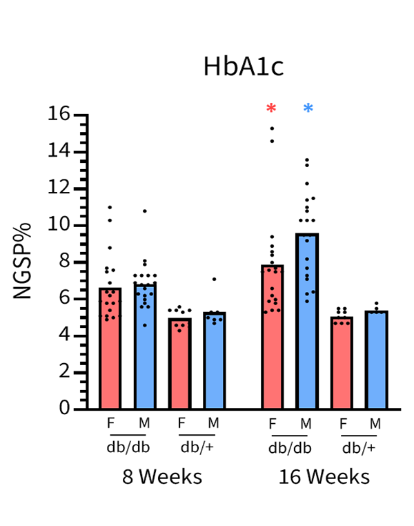 Serum Chemistry and Hormones - HbA1c - JAX® Mice Strain B6.BKS(D)-Leprdb/J (000697)