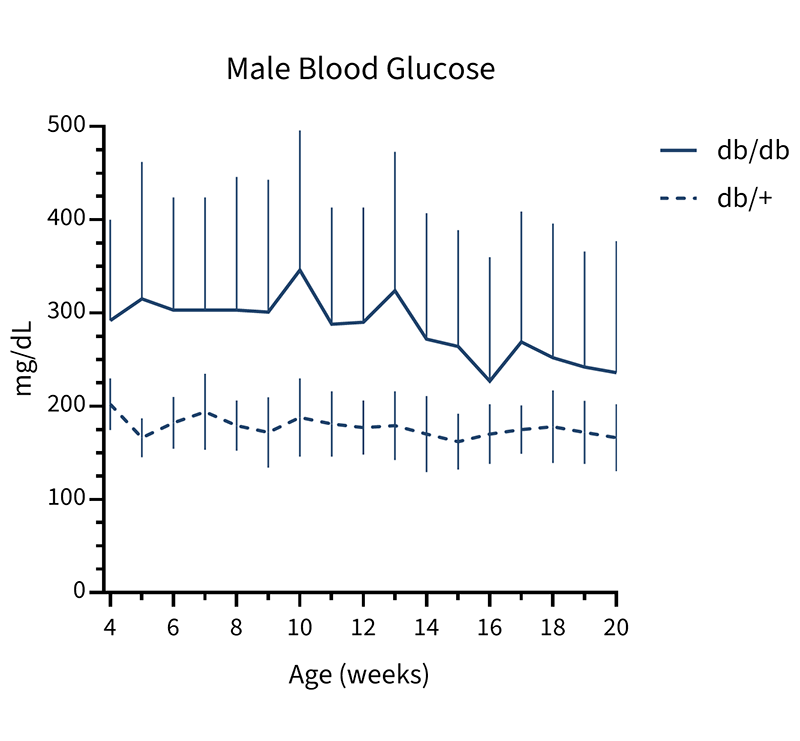 Male Mice Non-fasted Blood Glucose Info - JAX® Mice Strain B6.BKS(D)-Leprdb/J (000697)