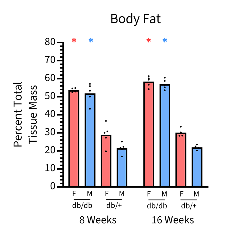 Mice Body Composition Info - JAX® Mice Strain B6.BKS(D)-Leprdb/J (000697)