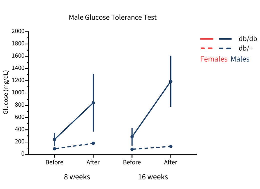 Male Mice Glucose Tolerance - JAX® Mice Strain B6.BKS(D)-Leprdb/J (000697)