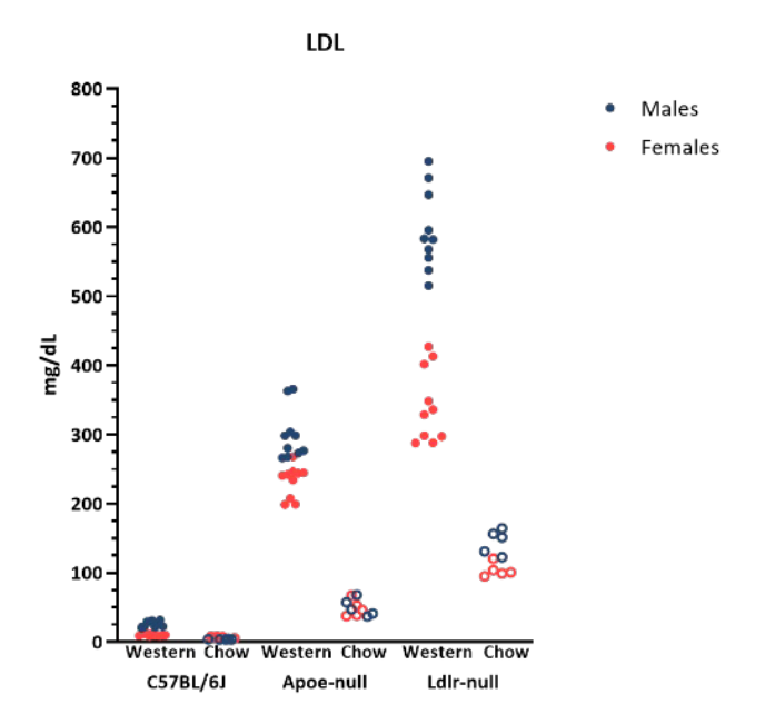 Mouse Phenotype Info - LDL - JAX® Mice Strains ApoE KO (002052) & Ldlr KO (002207)