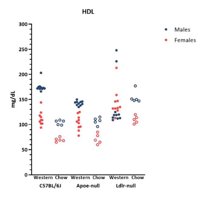 Mouse Phenotype Info - HDL - JAX® Mice Strains ApoE KO (002052) & Ldlr KO (002207)