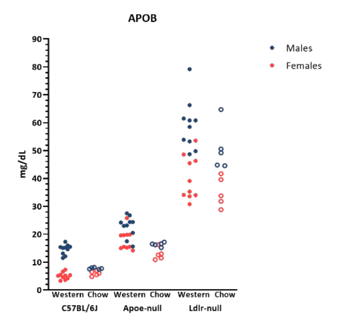 Mouse Phenotype Info - ApoB - JAX® Mice Strains ApoE KO (002052) & Ldlr KO (002207)